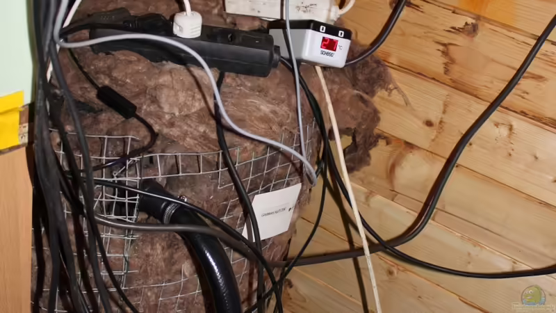 Isolierter Filter und Temperaturanzeige von Amamazonas Diskus (7)