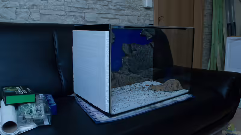 Isolierungen von GoreSlayer (22)