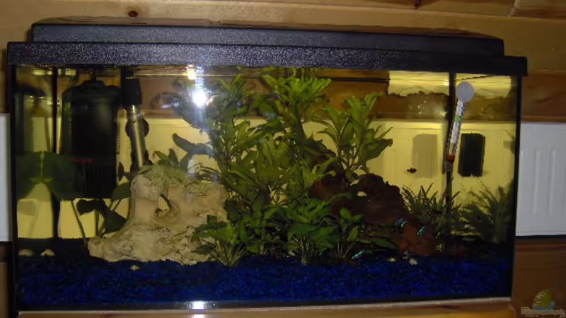 ISt bissle dunkel geworden, aber in Wahrheit isses heller ISt bissle dunkel geworden, aber in Wahrheit isses heller