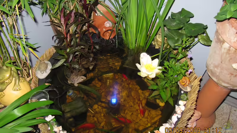 ist doch nett geworden  von Muschelherz (10)