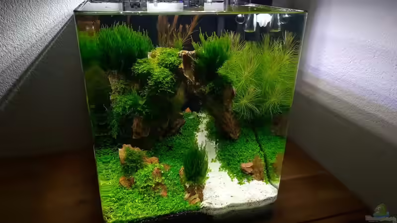 Ist ein Aquarium ein Stromfresser? - Stromverbrauch, Kosten & Tipps zum Sparen