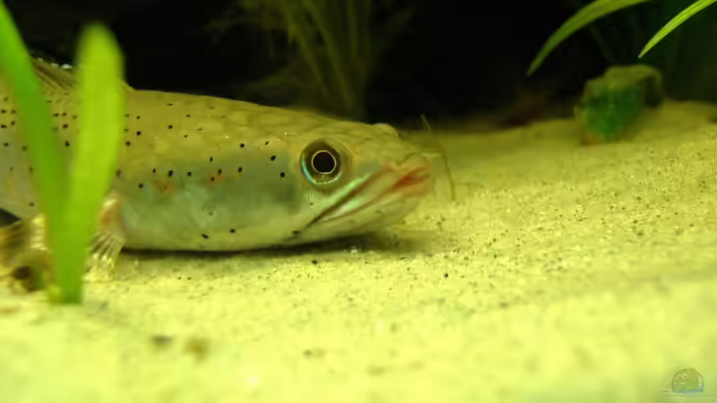 ist er nicht lieb? ;) von Mario74 (28)