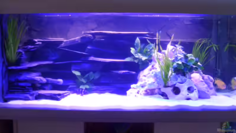 Ist erst wenige Stunden befüllt und daher Trüb von Marc Weise Manuela Schmidt & (1)