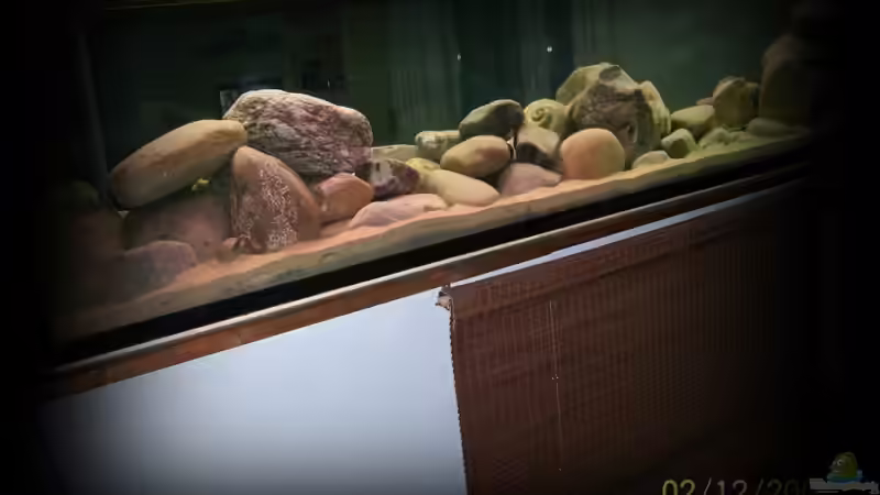 ist noch nackt so ganz ohne Fische und Pflanzen von nilsuwesohn (3)