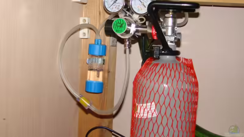 Ista Co2 Anlage bis 1000L mit 2Kg Flasche von TOMXY (14)