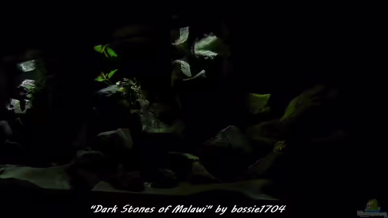 It´s raining again... von bossie1704 (19)