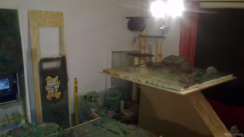 Ja, es war unfassbares Chaos und Dreck!  von Betta Chris (34)