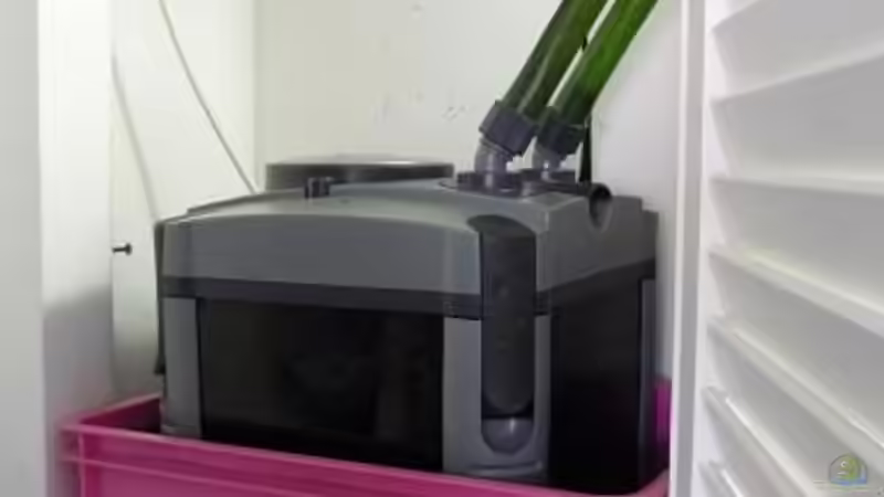 Jabeo von Chris_R. (21)