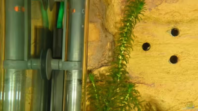 Jäger Aquarium Heater bis max. 300l von Helmut Stallhofer (8)