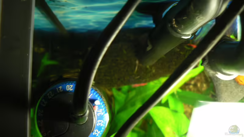 Jäger Heizer von Der Nicky (33)