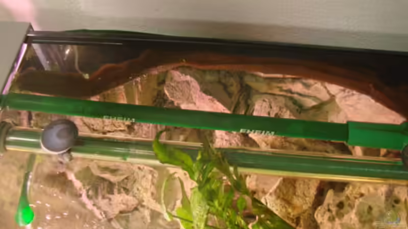 Jäger Heizstab 300Watt von Zorni (11)