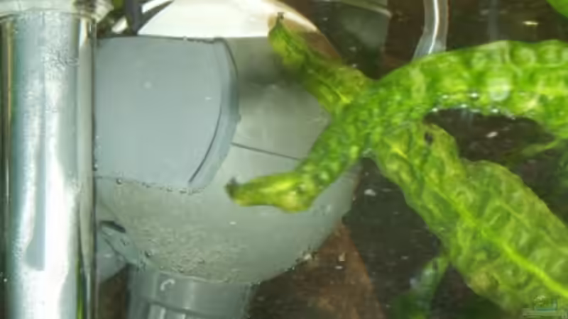 Jäger Heizstab und EHEIM Aquaball von Sven Leyh (10)