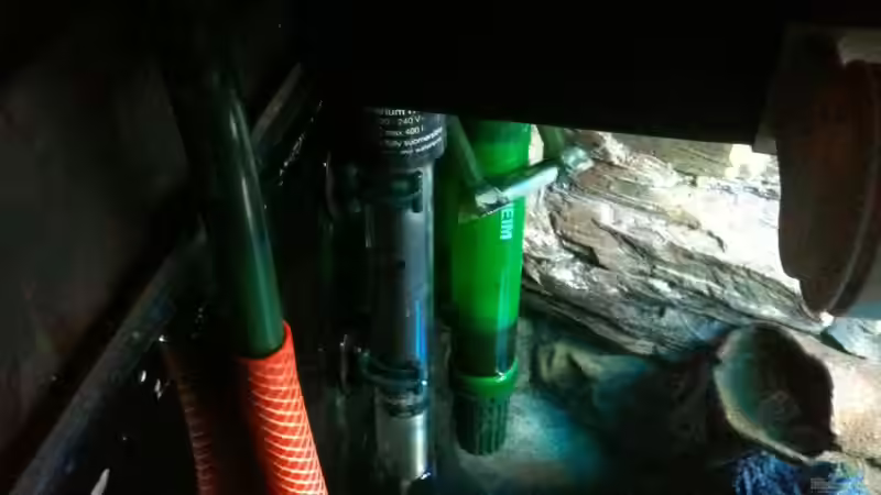 Jäger Heizstarb und Eheim Oberflächenabzug.(Wasserwechsel) von Bitman (28)