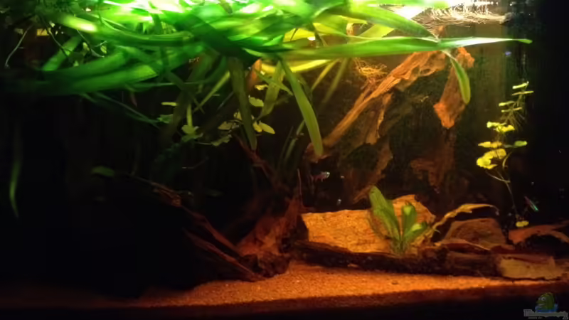 Jänner 2014 von der Steirer (12)