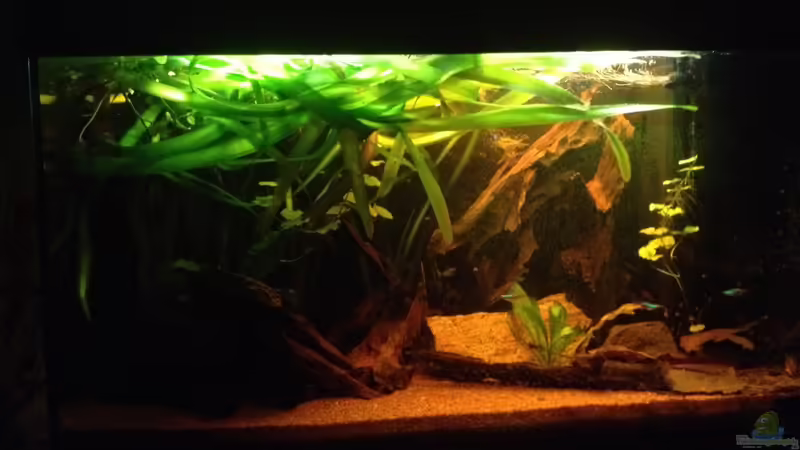 Jänner 2014 von der Steirer (13)