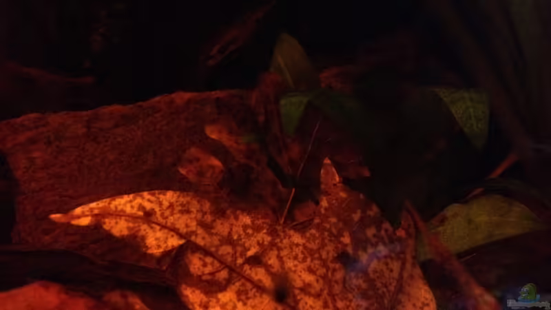 Jänner 2014 von der Steirer (38)