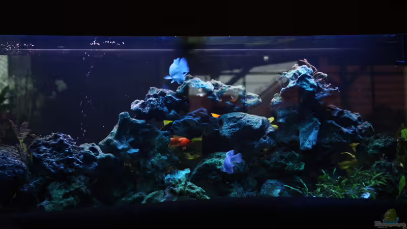 Jahr: 2015 von Stefan Mischler (1)