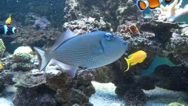 Jan. 2011 von Stephan Ascher (57)