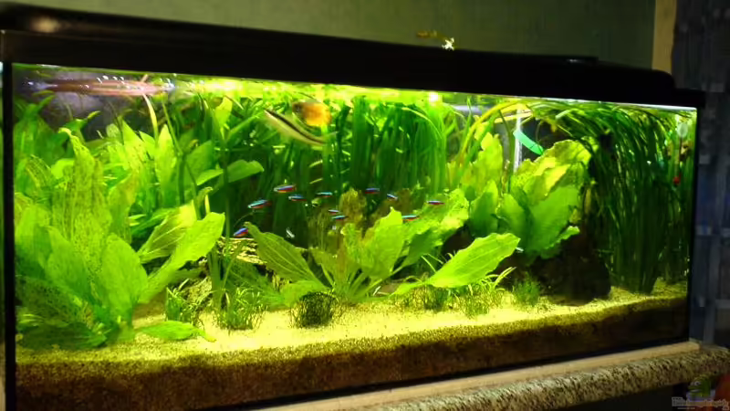 Januar 06 von Stefan R. (3)