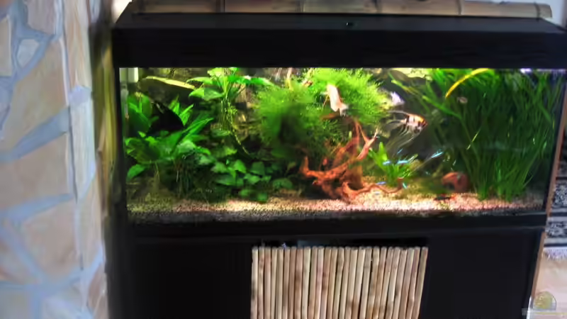 Januar 2010 -1 von Marco Weis (13)