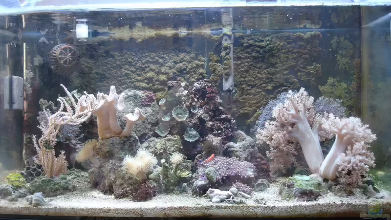 Januar 2012 von Jane Vogeler (1)