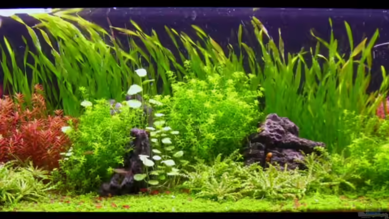 Januar 2012 von Mel&Marc (3)