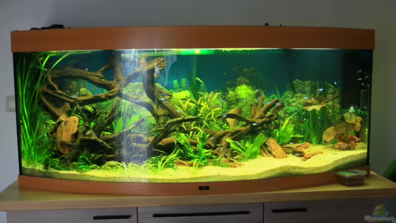 Januar 2013 von gooral28 (2)