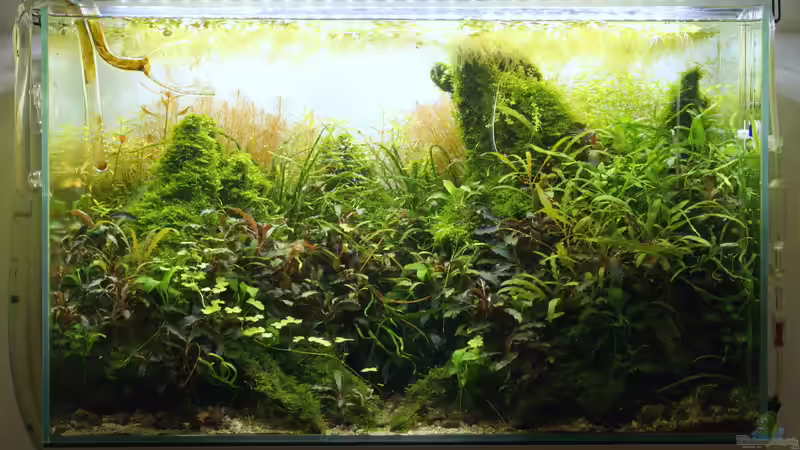 Januar 2018 von Micha... (10)