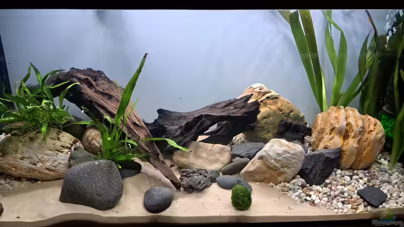 Januar 2025 von okefenokee (3)