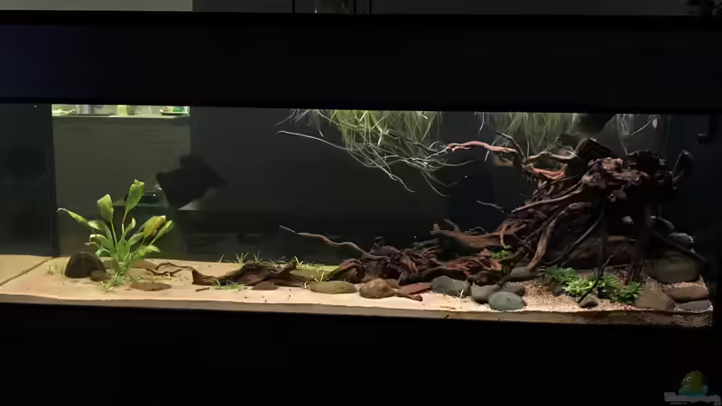 Januar2021 von BlueWave (4)