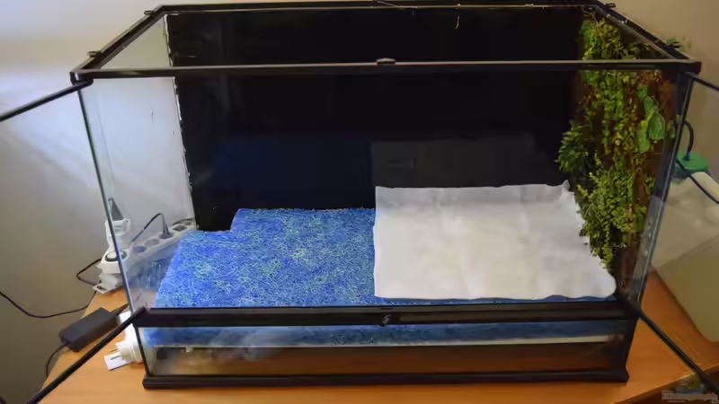 Japanmatte und Vlies von Junglist (9)