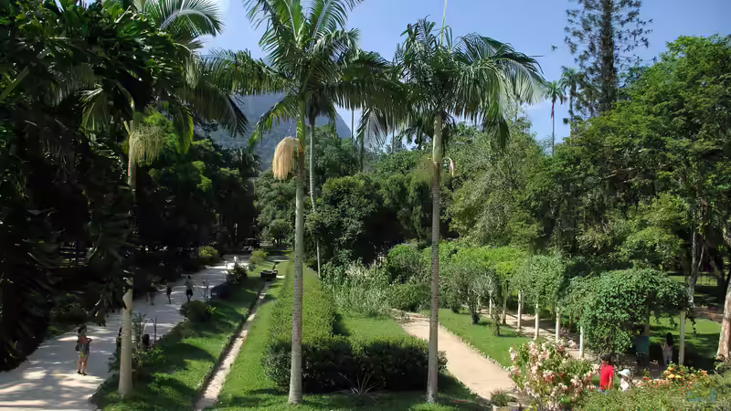 Jardim Botânico - Rio de Janeiro: Ein Paradies tropischer Vielfalt