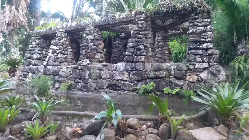 Jardim Botânico - Rio de Janeiro: Ein Paradies tropischer Vielfalt