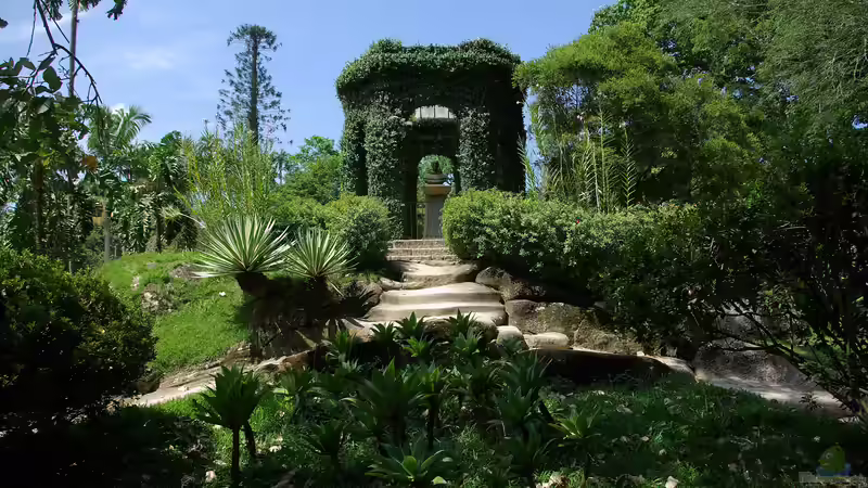 Jardim Botânico - Rio de Janeiro: Ein Paradies tropischer Vielfalt