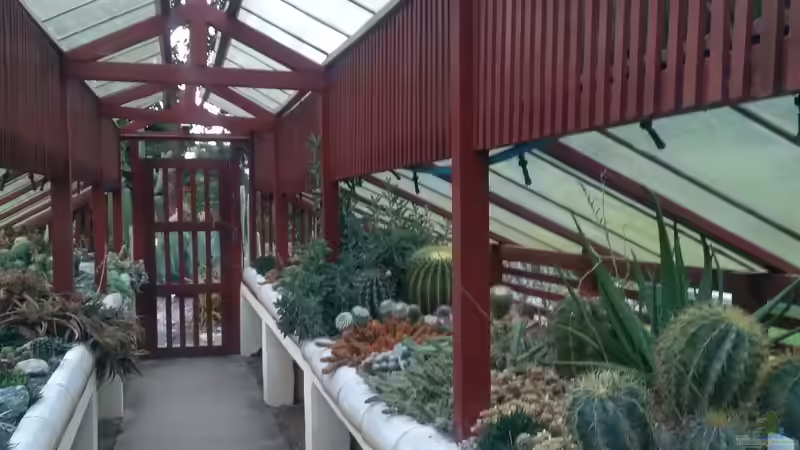 Jardim Botânico - Rio de Janeiro: Ein Paradies tropischer Vielfalt