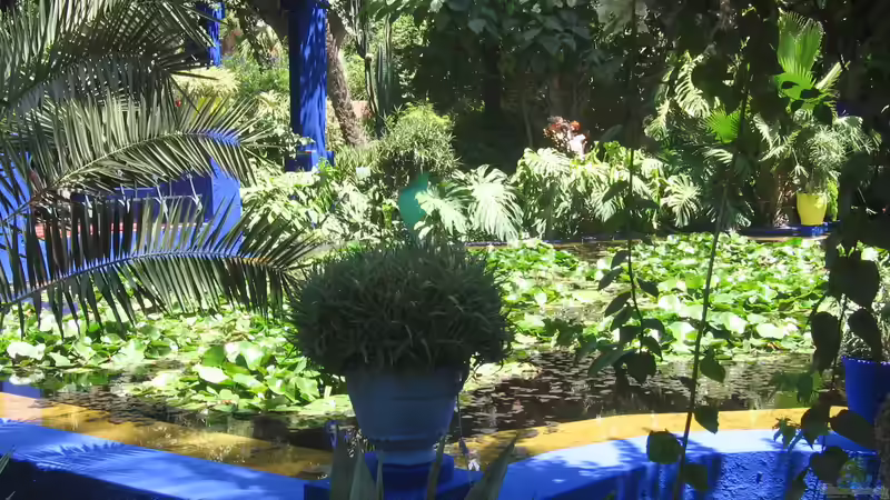 Jardin Majorelle - Marrakesch für Garten- und Naturliebhaber: Ein botanisches Juwel in der Wüste