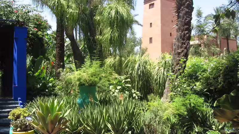 Jardin Majorelle - Marrakesch für Garten- und Naturliebhaber: Ein botanisches Juwel in der Wüste