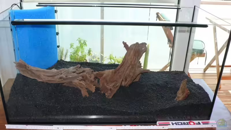 Jati-Holz von Torsten Franke (17)