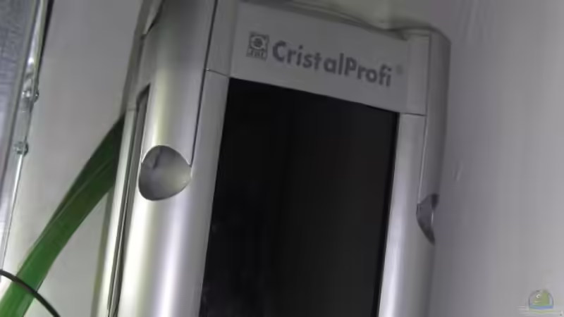 JBL- Aussenfilter von Malawi TOM (24)