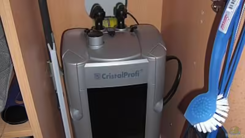 JBL, mChristal Profi e1500 von Malawi TOM (33)