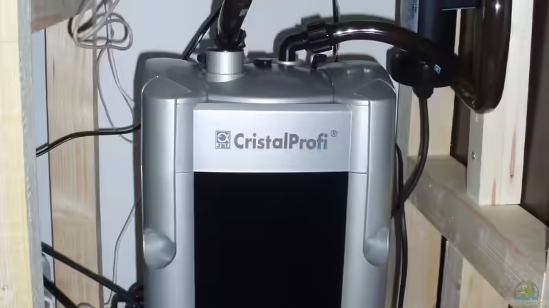 JBL 1500e Außenfilter und 9 Watt UVC Wasserklärer von ~Marco~ (48)