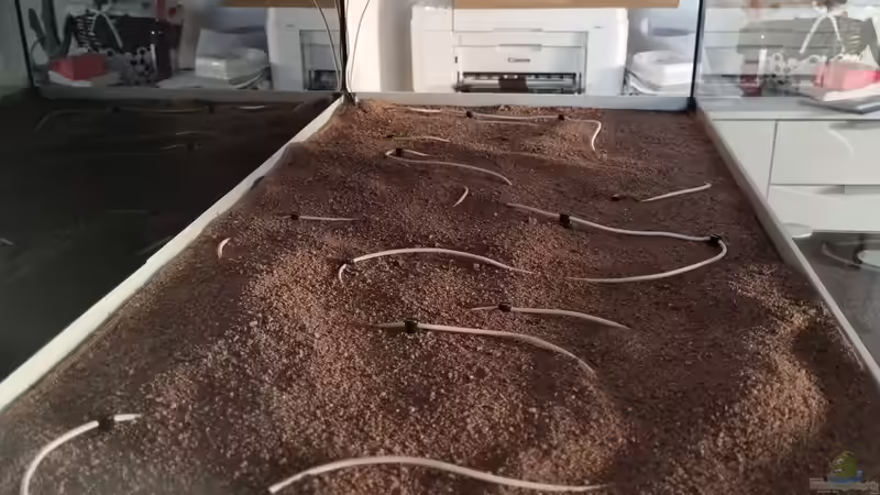 JBL Aqua Basic plus  und Heizkabel  von Peter Peter (73)