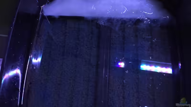 JBL Aussenfilter e1901 von flightsim (60)