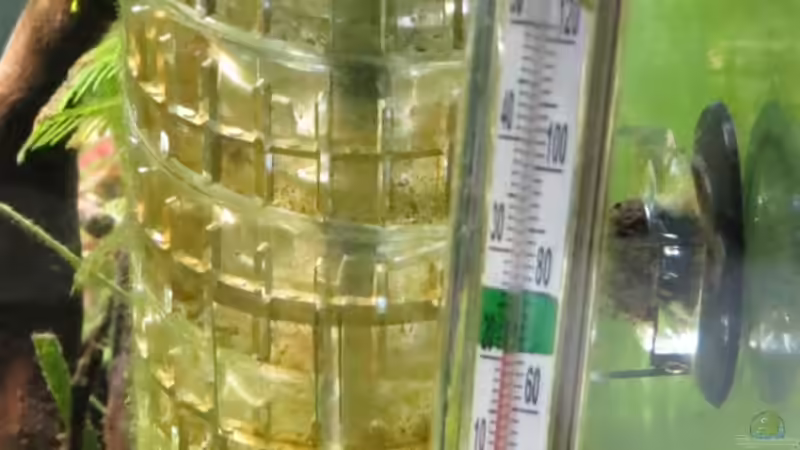 JBL Bio CO2 Ausströmer und Thermometer von Skalarjoe (23)