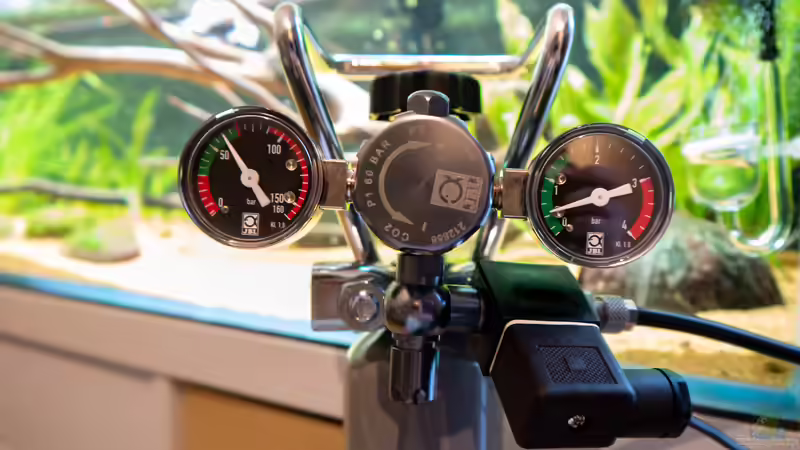 JBL CO2 Anlage von DiskusMummy (23)