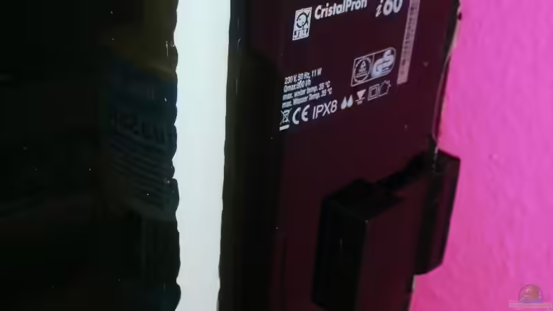 JBL Cristal hinter Filtermatte ( Fein )  von Dasy´s_Neelybecken (4)