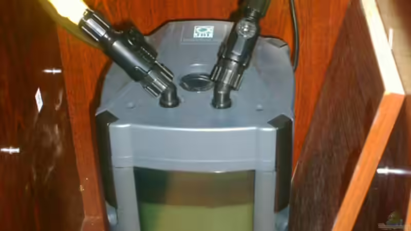 Jbl Cristal Profi 250 von Maik Böhme (8)