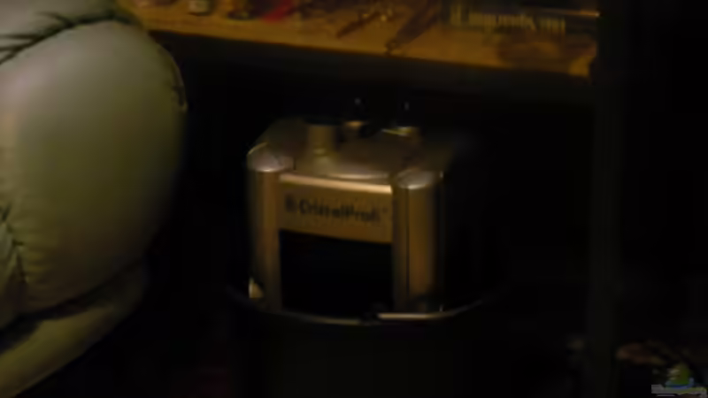 JBL cristal profi e900 von Feuerschwanz (5)