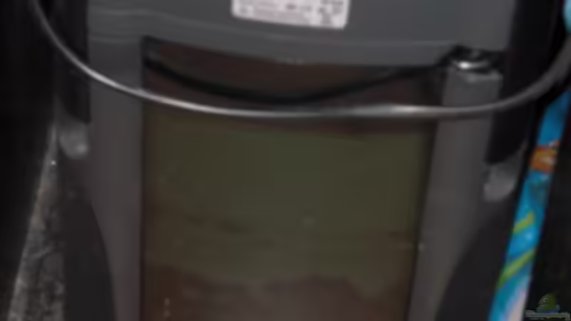 JBL Cristal von guido12304 (7)