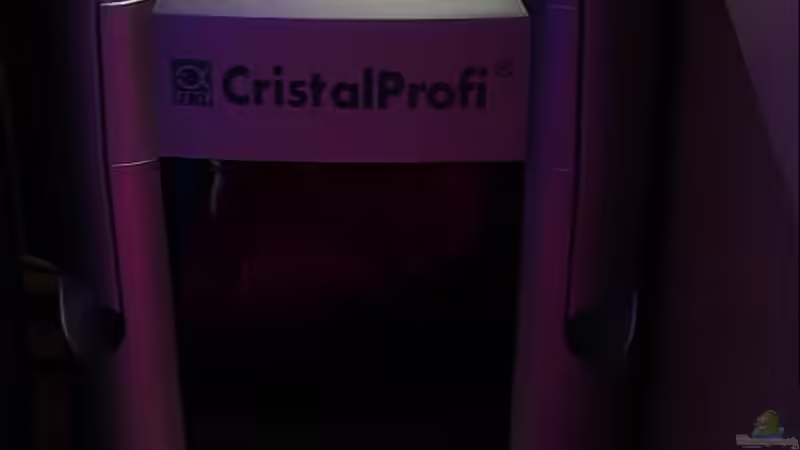 JBL Crystal Profi 700e von Falk (19)